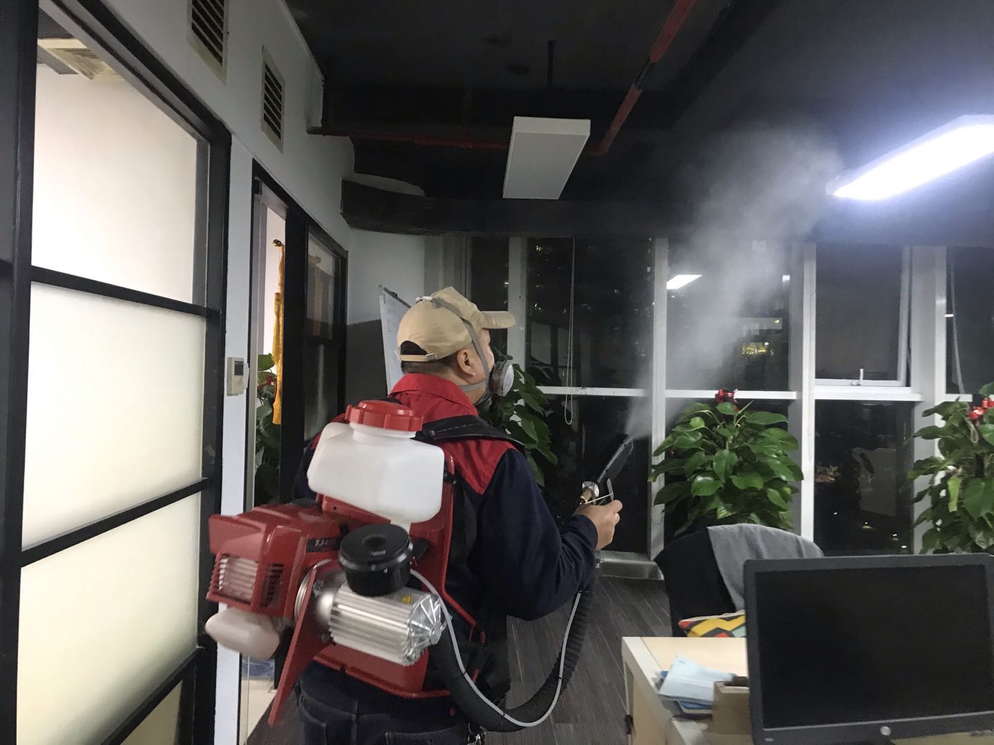 广州办公室消杀杀虫现场